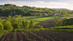 beautiful-horizontal-shot-green-field-with-bushes-trees-small-houses-countryside Belle image horizontal pris avec un beau terrain, des arbres et des maisons de campagnes